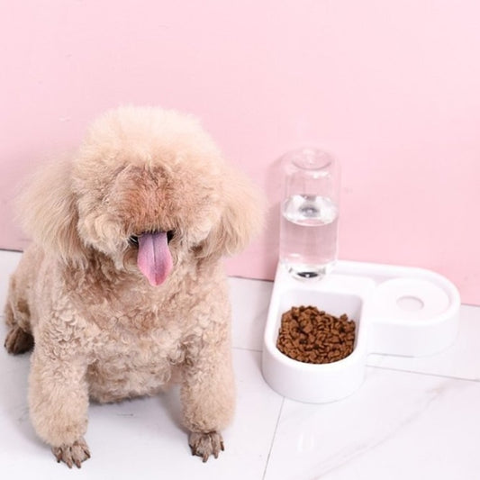 Automatic Water Dispenser Double Bowl Pet Feeder with Anti-Tip Design