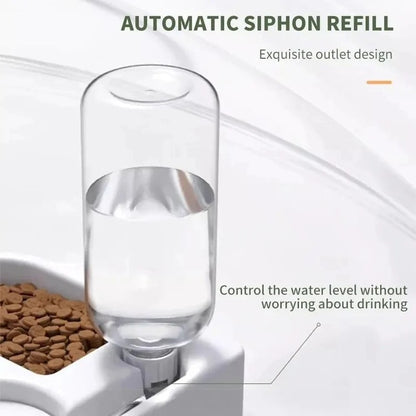 Automatic Water Dispenser Double Bowl Pet Feeder with Anti-Tip Design