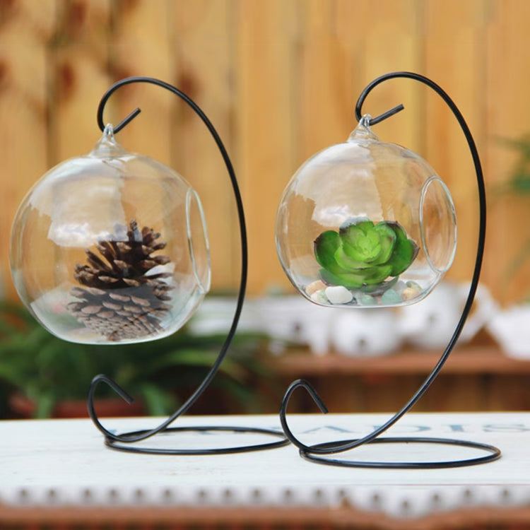 Teardrop Glass Terrarium – Decorative Hanging Plant Display