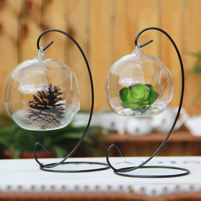 Teardrop Glass Terrarium – Decorative Hanging Plant Display