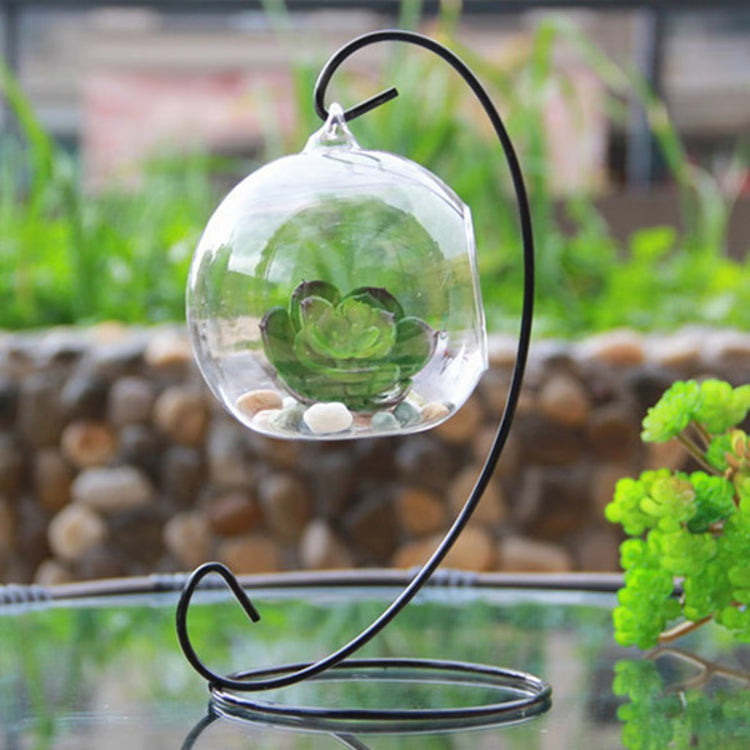 Teardrop Glass Terrarium – Decorative Hanging Plant Display